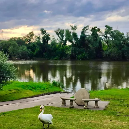 Vikendica Dva Labuda 펜션 *