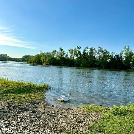 펜션 Vikendica Dva Labuda