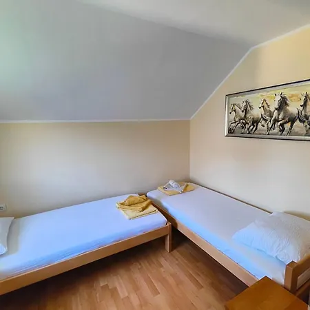 Vikendica Dva Labuda Holiday home Banostor