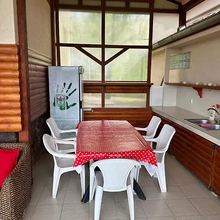 Vikendica Dva Labuda Holiday home *